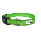 Nylon w/Reflective Stitching Dog Collar X-Small Green