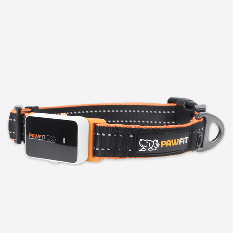 Pawfit 3 Collar Small