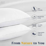 Puredown Goose Feathers and Down Pillow with Diamond Quilting Breathable Downproof Cover, Pack of 2, Standard Size