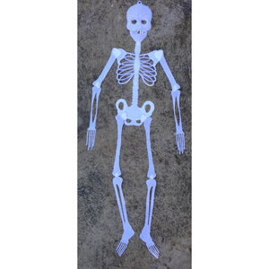 90cm Glow in The Dark Skeleton Halloween Plastic Hanging Scary Spooky Decoration - White - One-Size