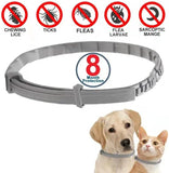 PawfectFriend Flea Collar for Dogs 8 Months Natural Flea Tick Collar for Dog Puppy