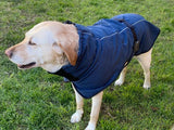 Pet Dog Raincoat Poncho Jacket Windbreaker Waterproof Clothes with Harness Hole-M-Black