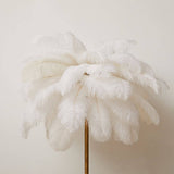 Demi Feathered Floor Lamp