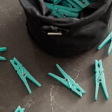 Peg Bag with Carabineer and 50 Pegs set