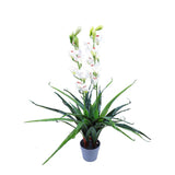 100cm Faux Artificial Home Decor Potted  Cymbidium-Red/White - Red