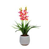 100cm Faux Artificial Home Decor Potted  Cymbidium-Red/White - White