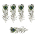 Darrahopens Auto Accessories 5-10PCS Natural Peacock Tail Eyes Feathers 75-80cm 26-30cm DIY Craft Vase Decor