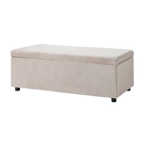 Darrahopens Furniture > Living Room Artiss Storage Ottoman Blanket Box Table 97cm Velvet Taupe