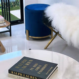 Darrahopens Furniture > Living Room Interior Ave - Apollo Velvet Ottoman - Blue