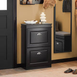 Darrahopens Furniture > Living Room Shoe Cabinet 2 Drawers Storage Cupboard Black