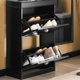 Darrahopens Furniture > Living Room Shoe Cabinet 2 Drawers Storage Cupboard Black