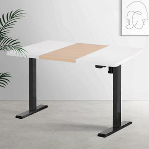 Darrahopens Furniture > Office Artiss Motorised Standing Desk Sit Stand Desks 120CM