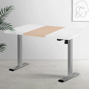Darrahopens Furniture > Office Artiss Standing Desk Electric Sit Stand Desks 120CM