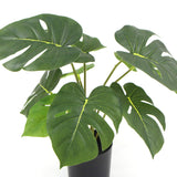 darrahopens Home & Garden > Artificial Plants Potted Artificial Split Philodendron Plant With Real Touch Leaves 35cm