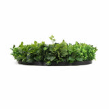 darrahopens Home & Garden > Artificial Plants Slimline Artificial Green Wall Disc Art 100cm Mixed Green Fern (Black)