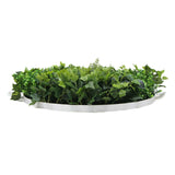 darrahopens Home & Garden > Artificial Plants Slimline Artificial Green Wall Disc Art 80cm Mixed Green Fern & Ivy (White)