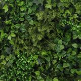 darrahopens Home & Garden > Artificial Plants Slimline Artificial Green Wall Disc Art 80cm Mixed Green Fern & Ivy (White)