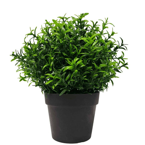 darrahopens Home & Garden > Artificial Plants Small Potted Artificial Bright Rosemary Herb Plant UV Resistant 20cm