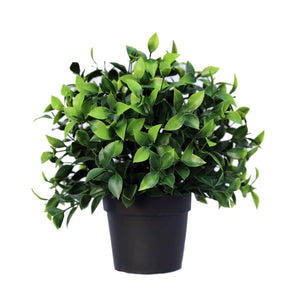 darrahopens Home & Garden > Artificial Plants Small Potted Artificial Jasmine Plant UV Resistant 20cm