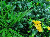 darrahopens Home & Garden > Artificial Plants Yellow Rose Vertical Garden / Green Wall UV Resistant Sample