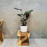 Darrahopens Home & Garden > Decor Z Shape 25cm Plant Stand/Stool/Side Table/Corner Table Raintree Wood