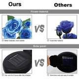 Darrahopens Home & Garden > Garden Lights Blue Bulk Solar Garden Lights 75cm Long Rose Flowers Yard Lamp Xmas Halloween Deco AU