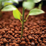 Darrahopens Home & Garden > Garden Tools 50L Hydro Clay Balls - Organic Premium Hydroponic Expanded Plant Growing Medium