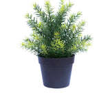 darrahopens Home & Garden > Home & Garden Others Small Potted Artificial Native Grass Plant UV Resistant 20cm