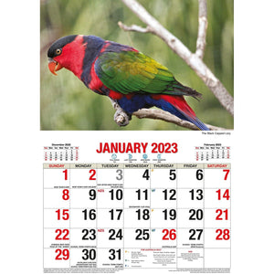 Darrahopens Home & Garden > Home Office Accessories Australian Birds – 2023 Rectangle Wall Calendar 16 Months Planner New Year Gift