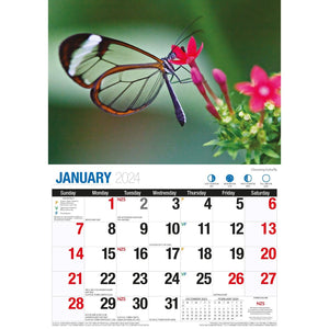 Darrahopens Home & Garden > Home Office Accessories Butterflies - 2024 Rectangle Wall Calendar 16 Months Colorful Butterfly Photos