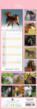 Darrahopens Home & Garden > Home Office Accessories Horses - 2024 Slimline Slim Wall Calendar Hanging Planner New Year Gift