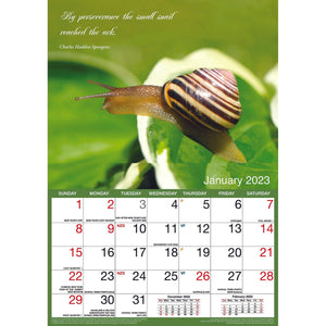 Darrahopens Home & Garden > Home Office Accessories Inspirational – 2023 Rectangle Wall Calendar 16 Months Planner New Year Gift