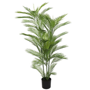 Darrahopens Home & Garden > Home Office Accessories Real Touch Artificial Phoenix Palm Tree UV Resistant 180cm