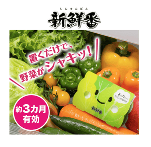 Darrahopens Home & Garden > Kitchenware [6-PACK] S.T. Japan Refrigerate Vegetables for Long-term Preservation