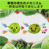 Darrahopens Home & Garden > Kitchenware [6-PACK] S.T. Japan Refrigerate Vegetables for Long-term Preservation