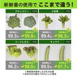 Darrahopens Home & Garden > Kitchenware [6-PACK] S.T. Japan Refrigerate Vegetables for Long-term Preservation