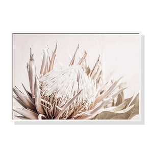 Darrahopens Home & Garden > Wall Art Wall Art 40cmx60cm Pure Protea II White Frame Canvas