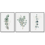 Darrahopens Home & Garden > Wall Art Wall Art 70cmx100cm Eucalyptus Plant 3 Sets Black Frame Canvas