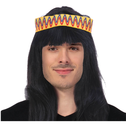 Darrahopens Occasions > Costumes Mens INDIAN WIG Native American Fancy Dress Party Costume Hair Headdress