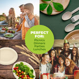 Darrahopens Occasions > Disposable Tableware Party Central 360PCE Dinner Plates Oval Strong Eco-Friendly Disposable 26cm