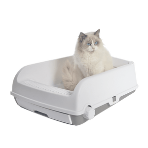 Darrahopens Pet Care > Cat Supplies Large Cat Litter Tray Box Kitty Toilet with Rack Scoop & Drawer-Style Cleaning Box White