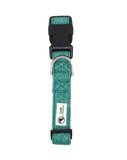 Darrahopens Pet Care > Dog Supplies Bling Glitter Overlay Nylon Dog Collar Breakaway Buckle Medium Turquoise