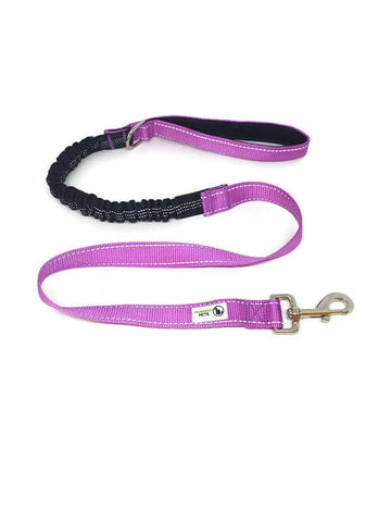 Darrahopens Pet Care > Dog Supplies Bungee Dog Lead Nylon w/Reflective Stitching Purple