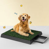 Darrahopens Pet Care > Dog Supplies i.Pet Pet Training Pad Dog Potty Toilet Large Loo Portable With Tray Grass Mat