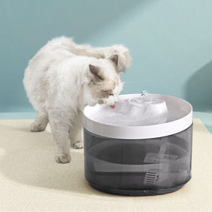 Darrahopens Pet Care > Dog Supplies i.Pet Pet Water Fountain Dispenser Filter Dog Cat Drinking Automatic Electric 2.2L