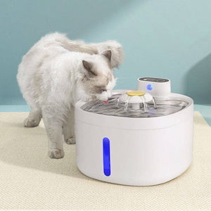 Darrahopens Pet Care > Dog Supplies i.Pet Pet Water Fountain Dispenser Filter Dog Cat Drinking Automatic Electric 2.6L