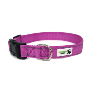 Darrahopens Pet Care > Dog Supplies Nylon w/Reflective Stitching Dog Collar Small Purple