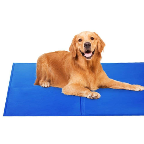 Darrahopens Pet Care > Dog Supplies YES4PETS 2X Pet Cooling Bed Gel Mat Dog Cat Non-Toxic Cool Pad Puppy Cold Summer 50x40 CM