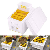 Darrahopens Pet Care > Farm Supplies Mini Mating Box Queen Bee Rearing Plastic Styrene Foam Hive Harvest Copulation