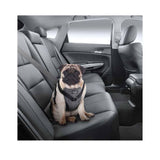 Darrahopens Pet Care L Dog Harness 2 in 1 Combo - Car Travel Rides + Walks - No Pull Leash Seat Belt